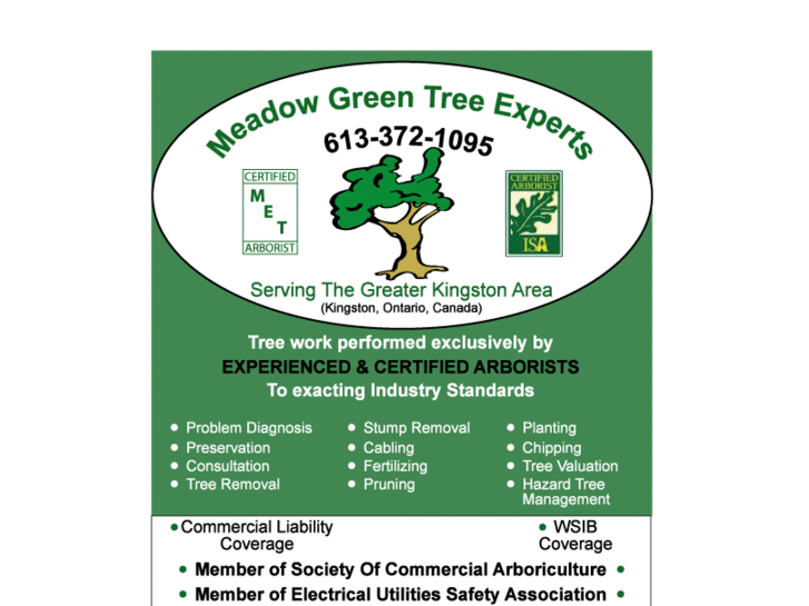 www.meadow-green-tree-experts.com