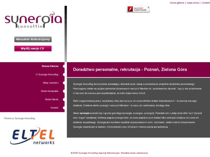 www.synergia-konsulting.pl