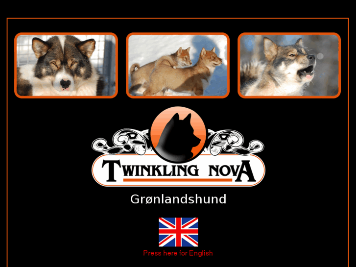 www.twinklingnova.com