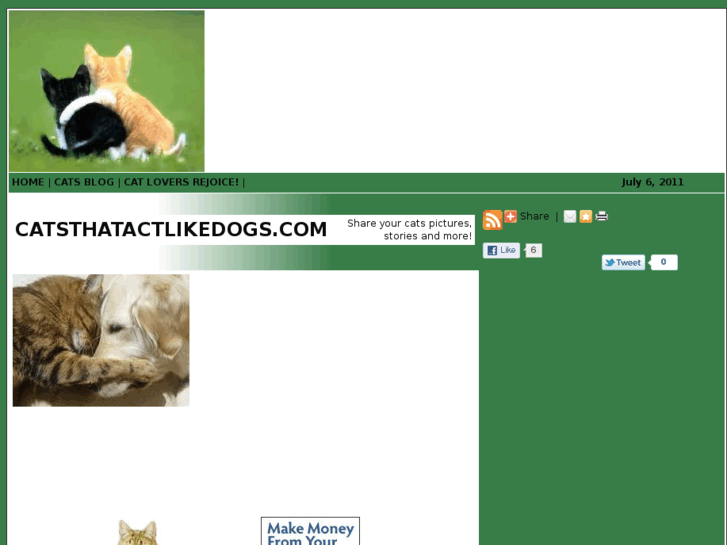 www.catsthatactlikedogs.com