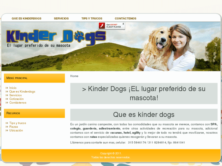 www.kinderdogs.com