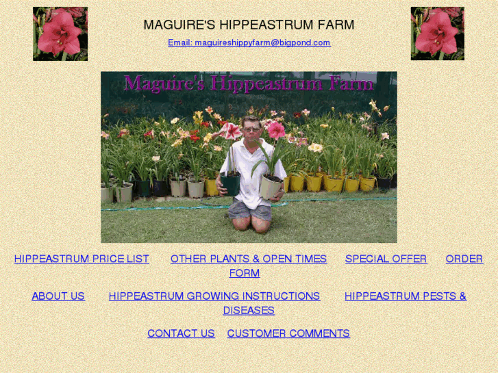 www.maguireshippeastrumfarm.com