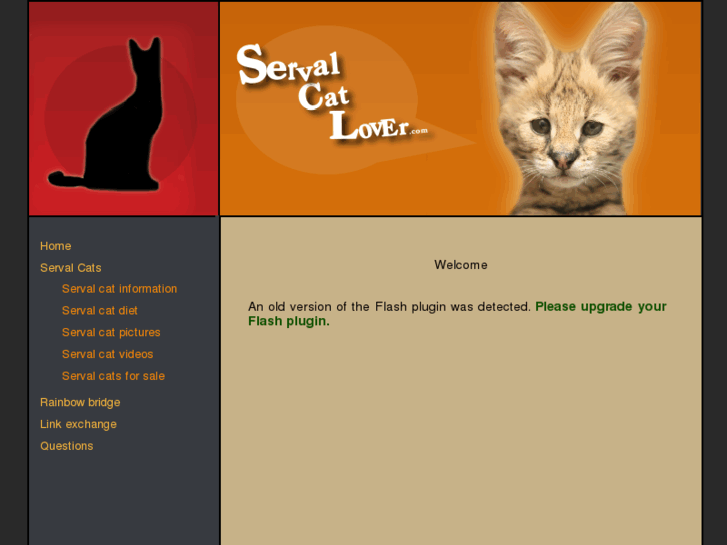 www.servalcatlover.com