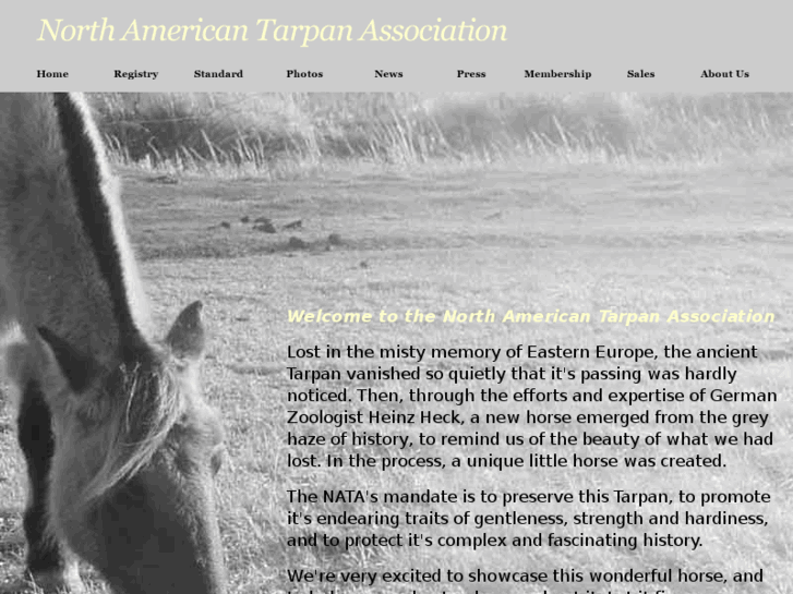 www.tarpanassociation.com