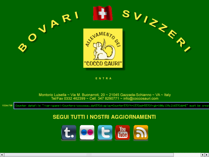 www.coccosauri.com