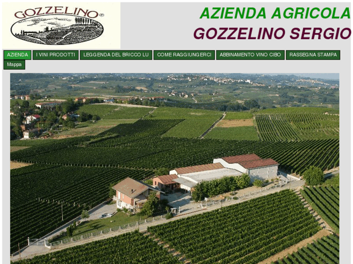 www.gozzelinovini.com