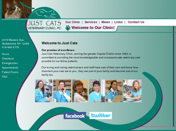 www.justcatsvet.com