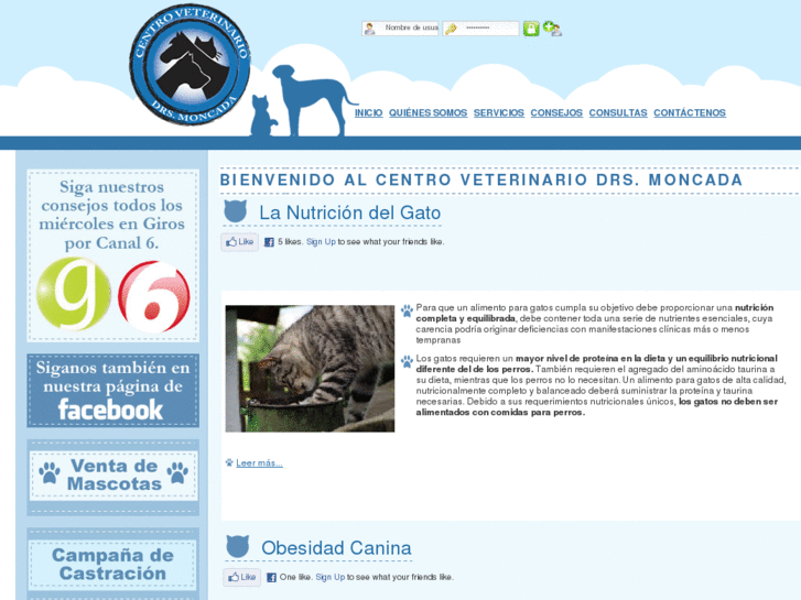 www.veterinariamoncada.com