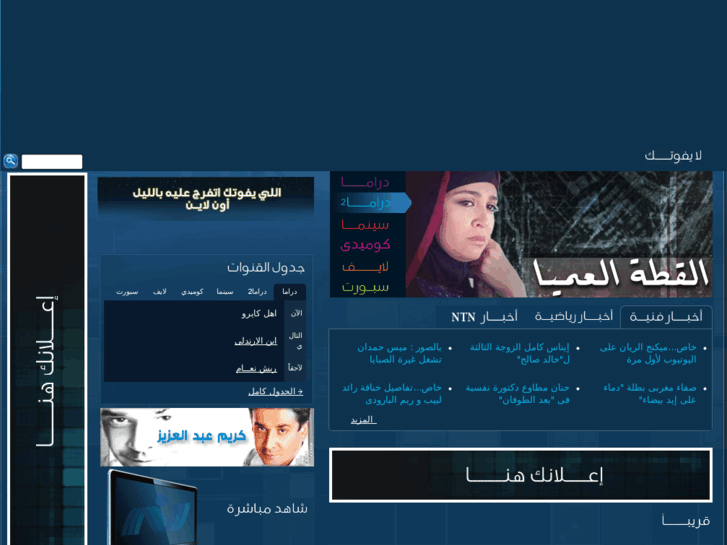 www.ntnegypt.net