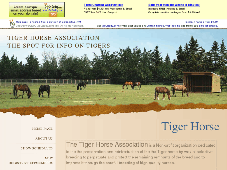 www.tigerhorse.net