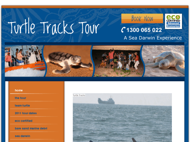 www.turtletrackstours.com