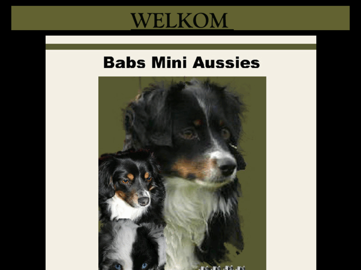 www.babs-miniaussies.com