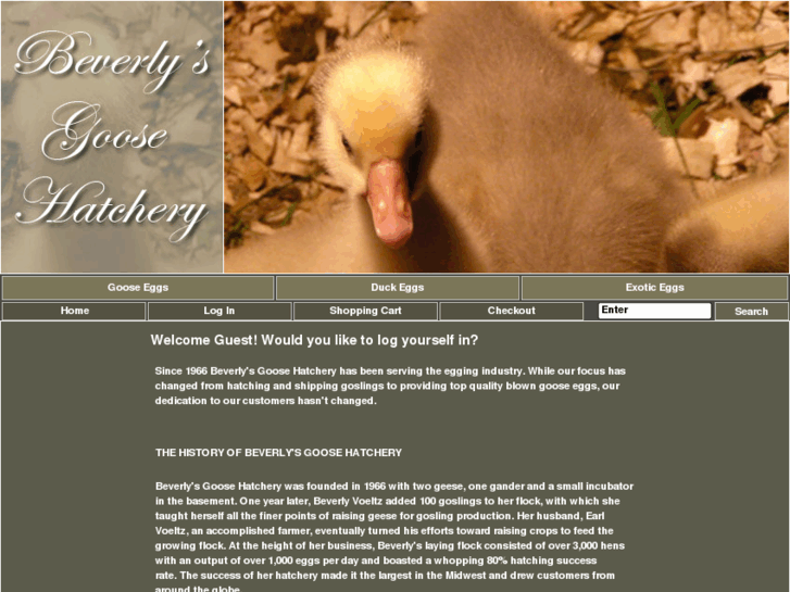 www.beverlysgoosehatchery.com