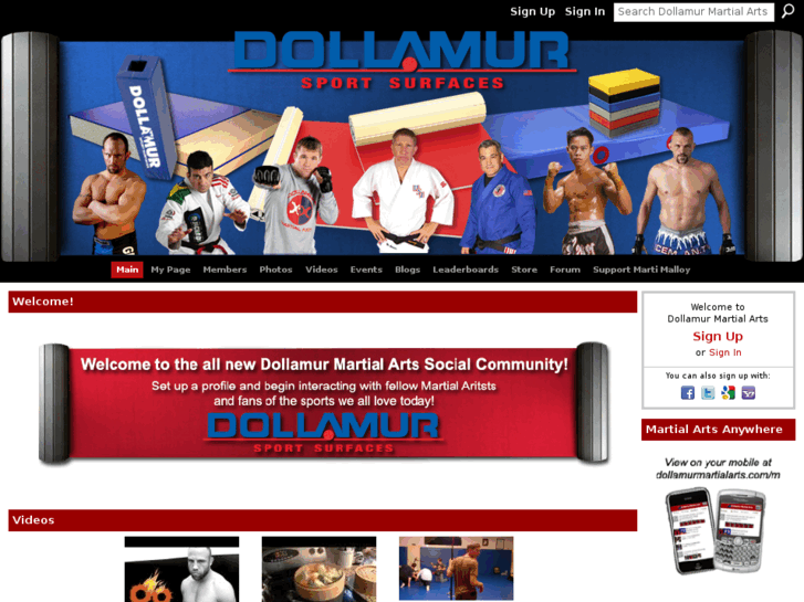 www.dollamurmartialarts.com