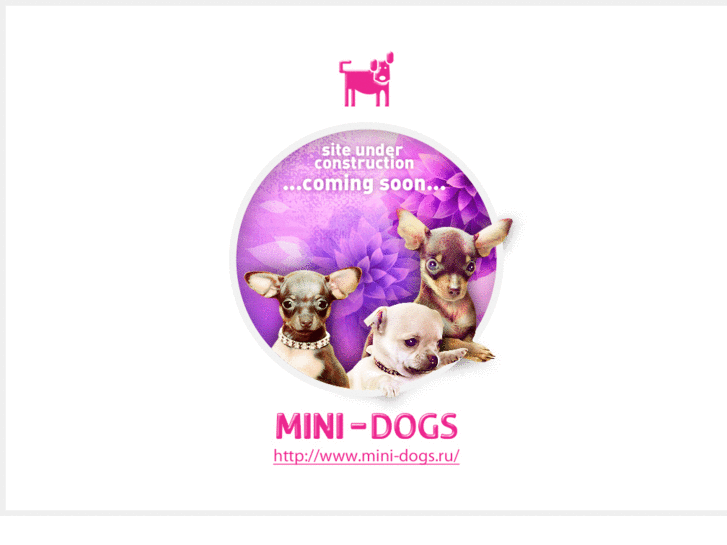 www.mini-dogs.com