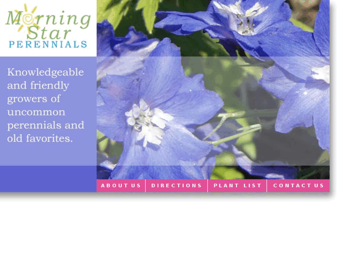 www.morningstarflowers.com