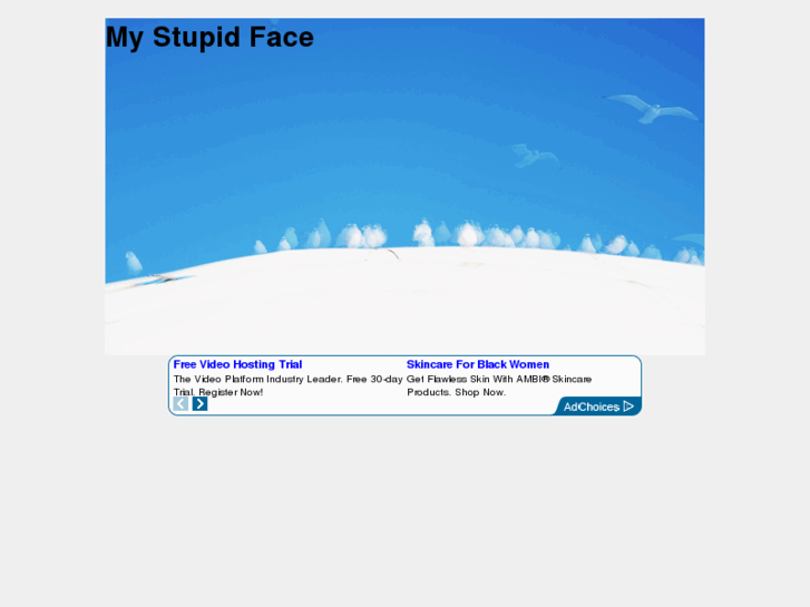 www.mystupidface.com