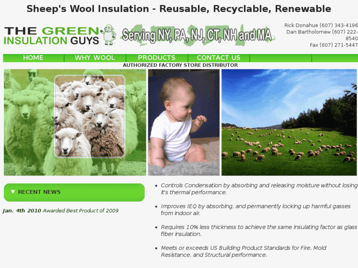 www.thegreeninsulationguys.com