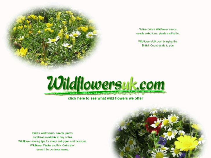 www.wildflowersuk.com