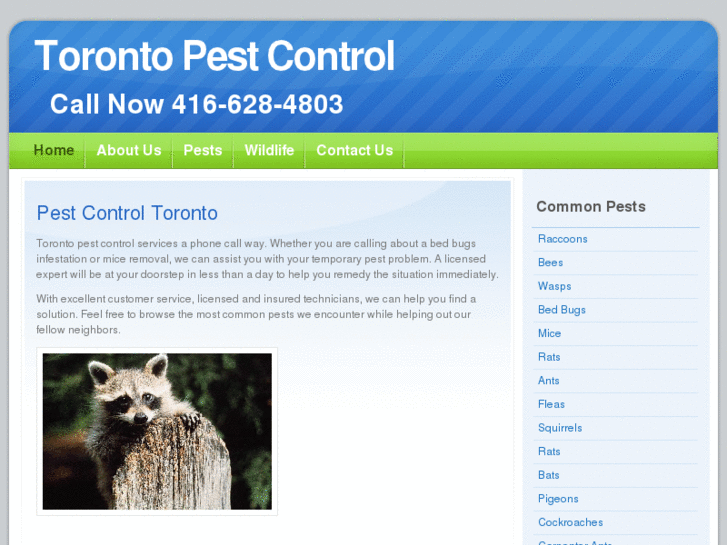 www.toronto-pest-control.com