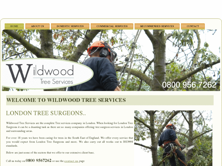 www.wildwoodtrees.com