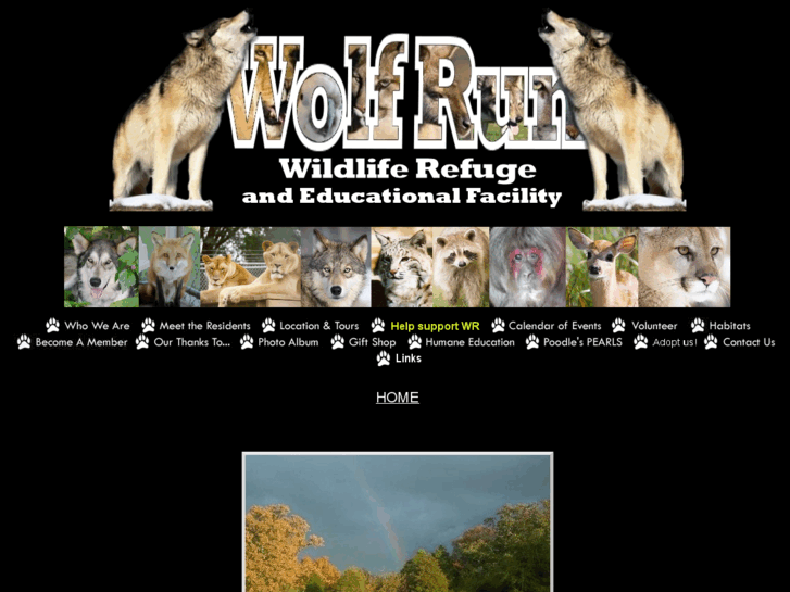 www.wolfrun.org