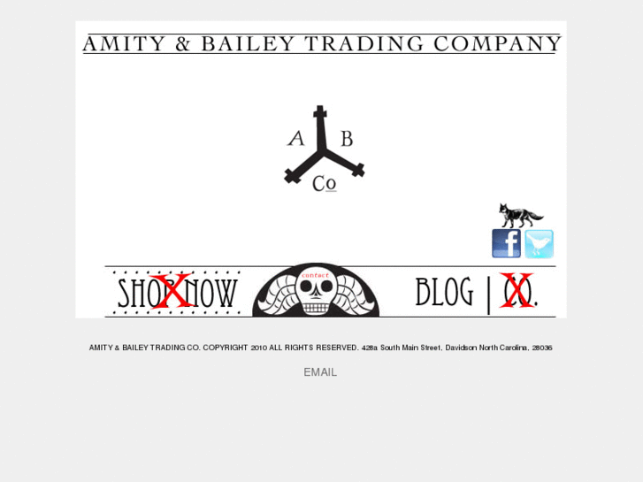 www.amityandbailey.com