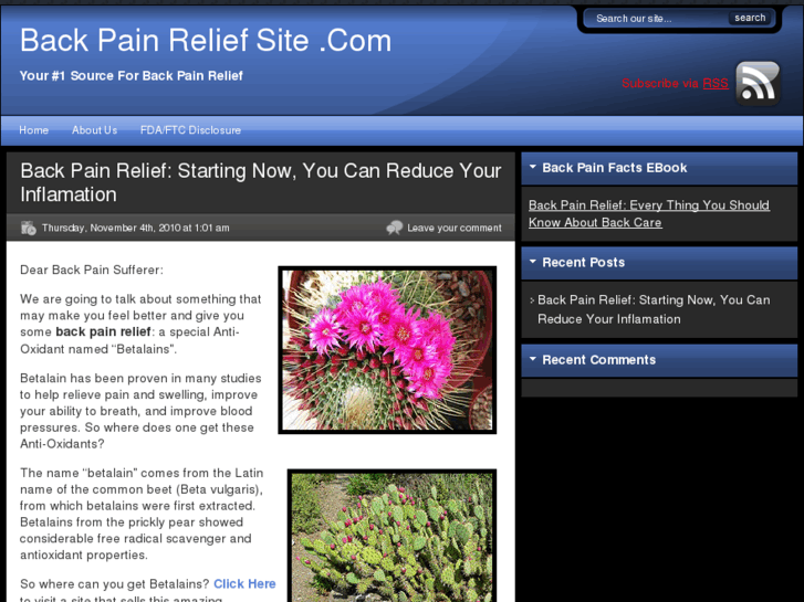 www.back-pain-relief-site.com