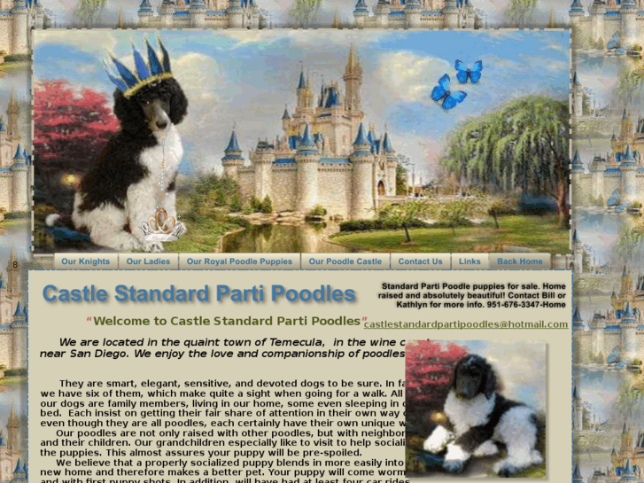 www.castlestandardpartipoodles.com