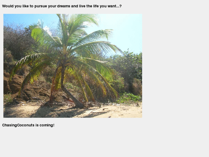 www.chasingcoconuts.com