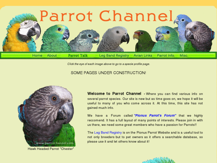 www.parrotchannel.com