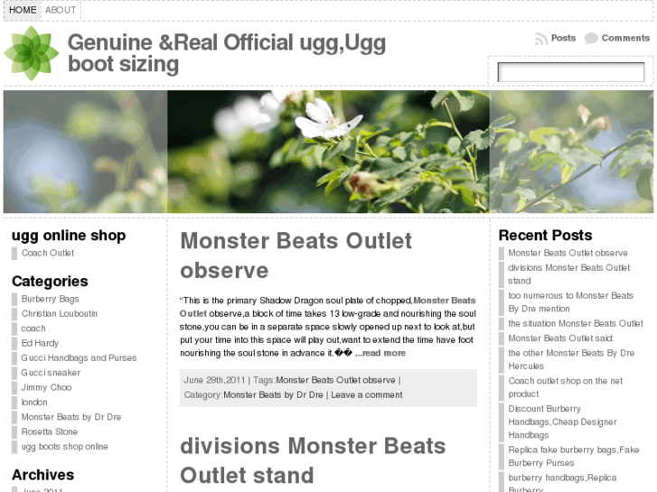 www.aaron-ugg.com