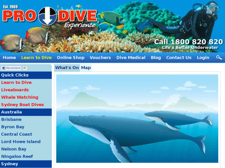 www.diveengine.com