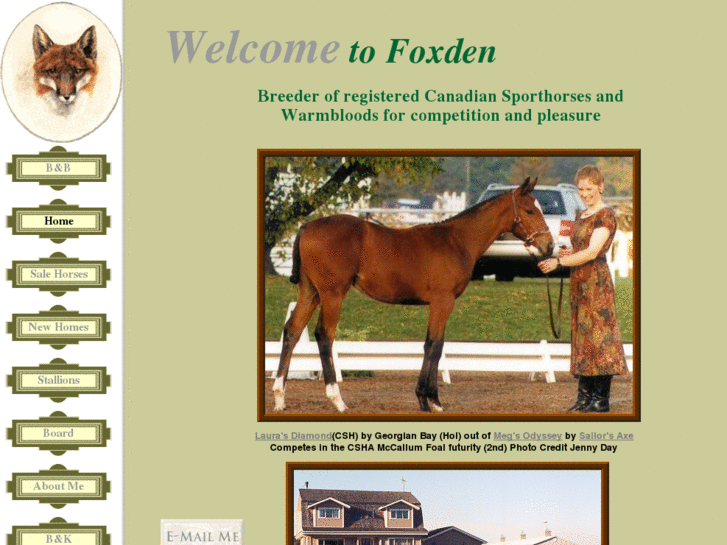 www.foxdensporthorses.com