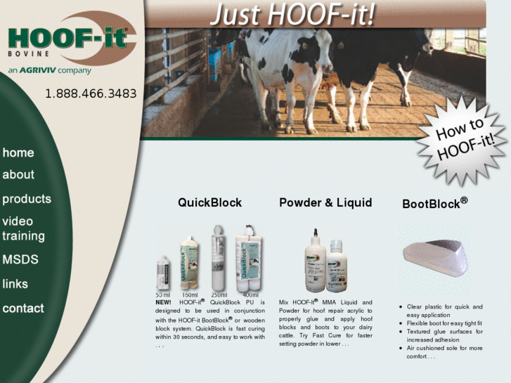 www.hoofitcow.com