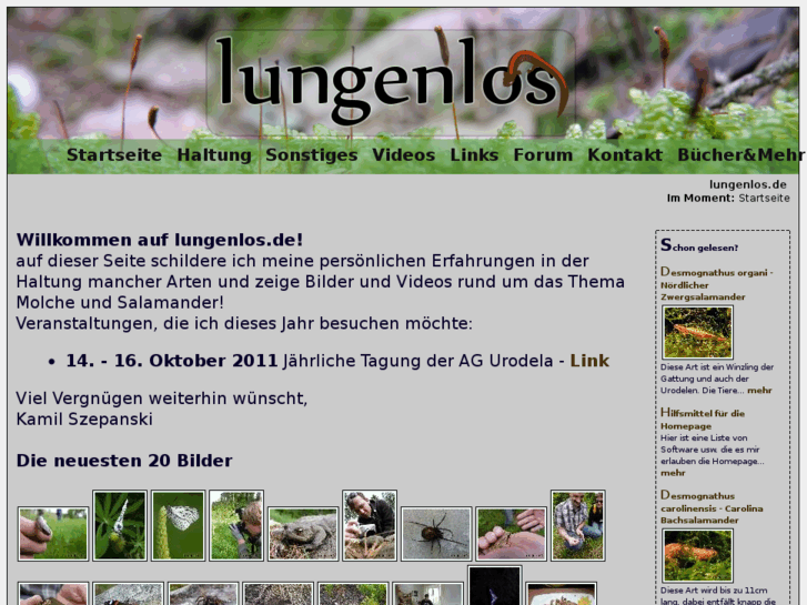 www.lungenlos.de