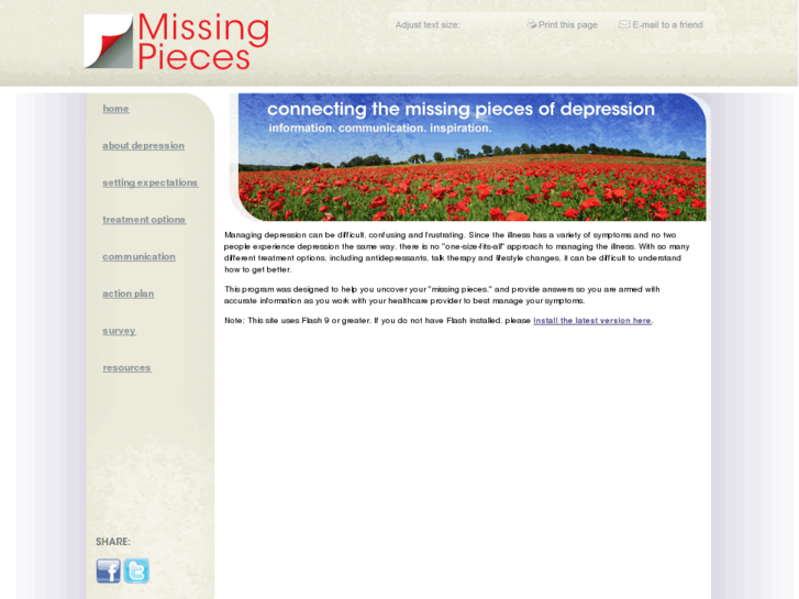 www.missingpiecesprogram.com