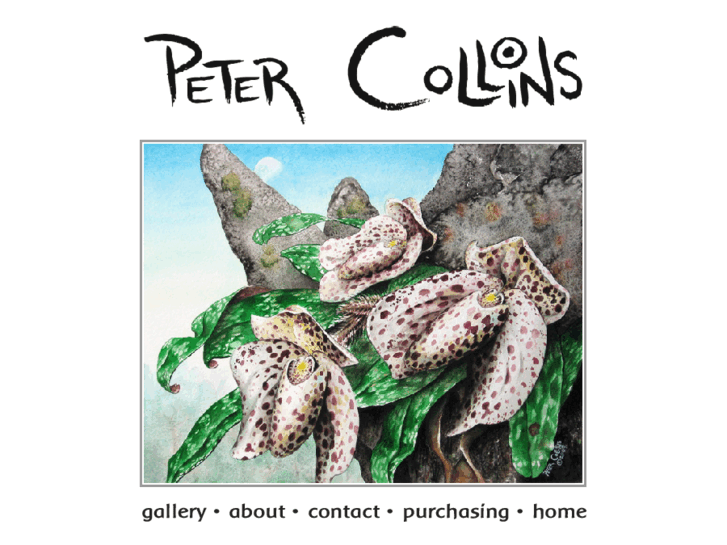 www.petercollinsart.com