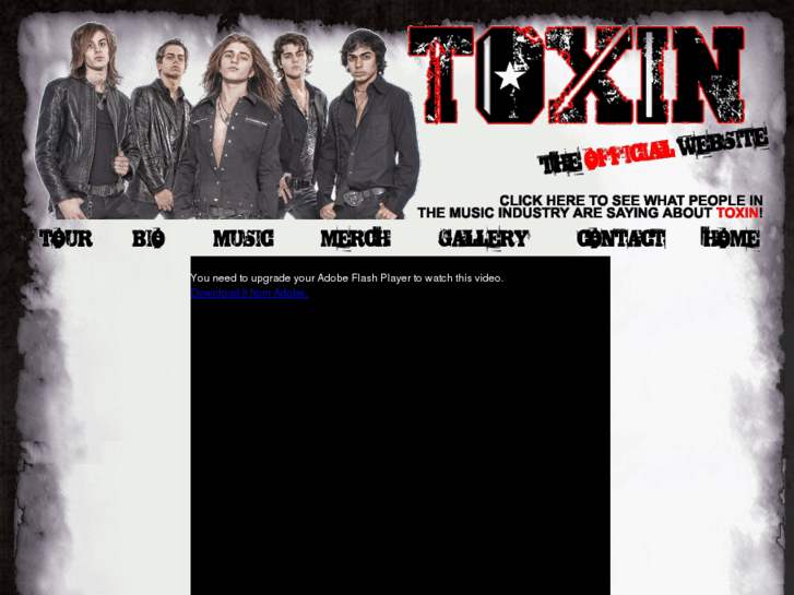 www.toxinrocks.com