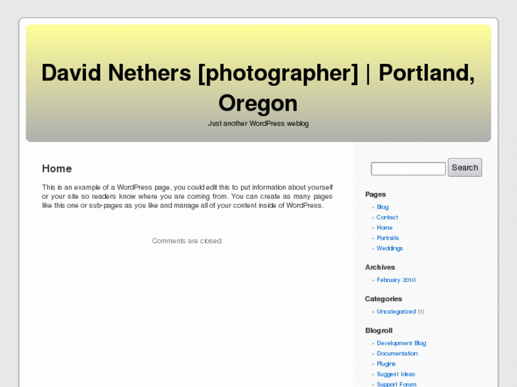 www.davidnethers.com