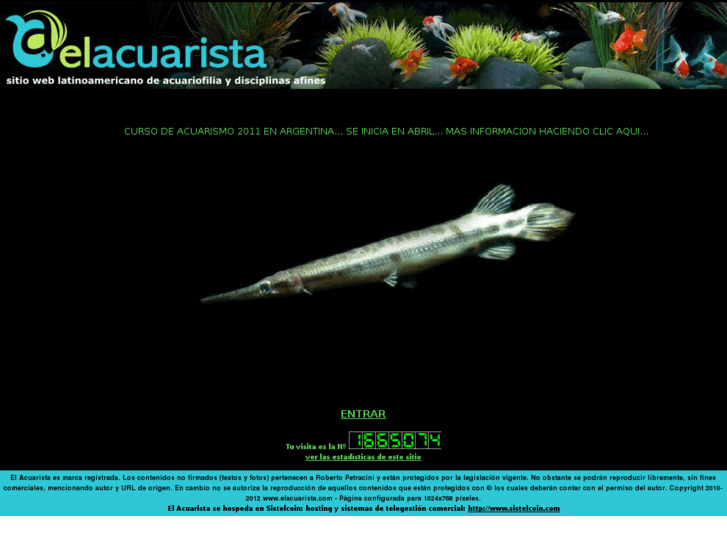 www.elacuarista.com