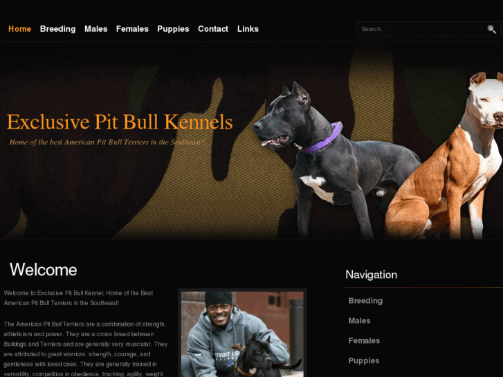 www.exclusivepitbullkennel.com