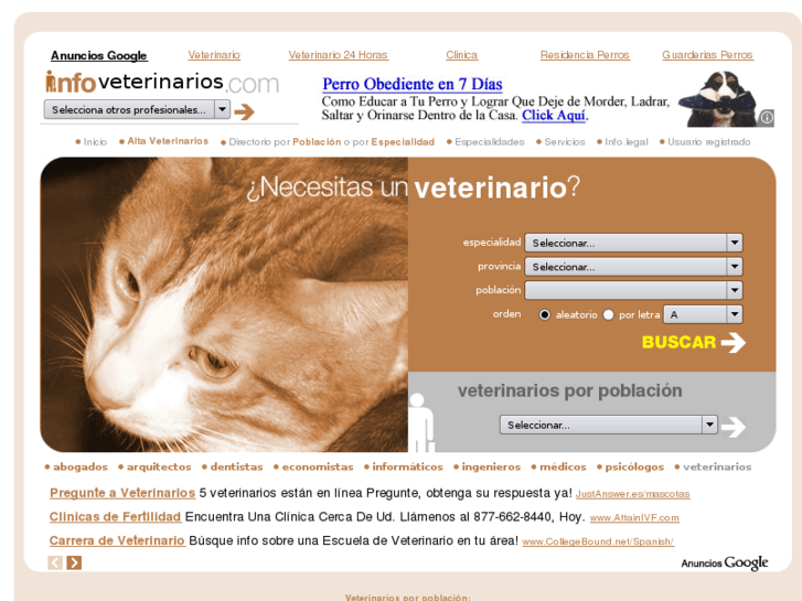 www.infoveterinarios.com