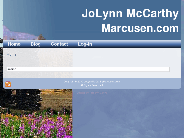 www.jolynnmccarthymarcusen.com