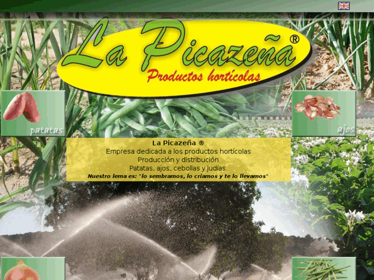 www.lapicazena.com