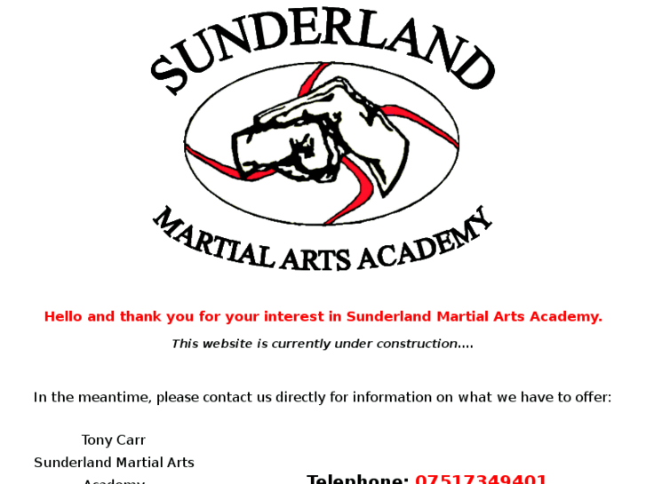 www.sunderlandmartialartsacademy.com