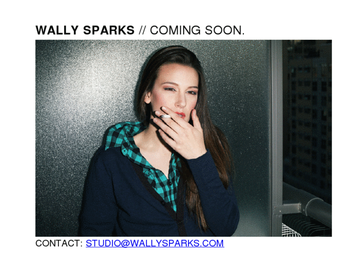 www.wallysparks.com