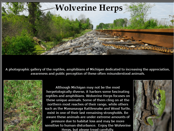 www.wolverineherps.com