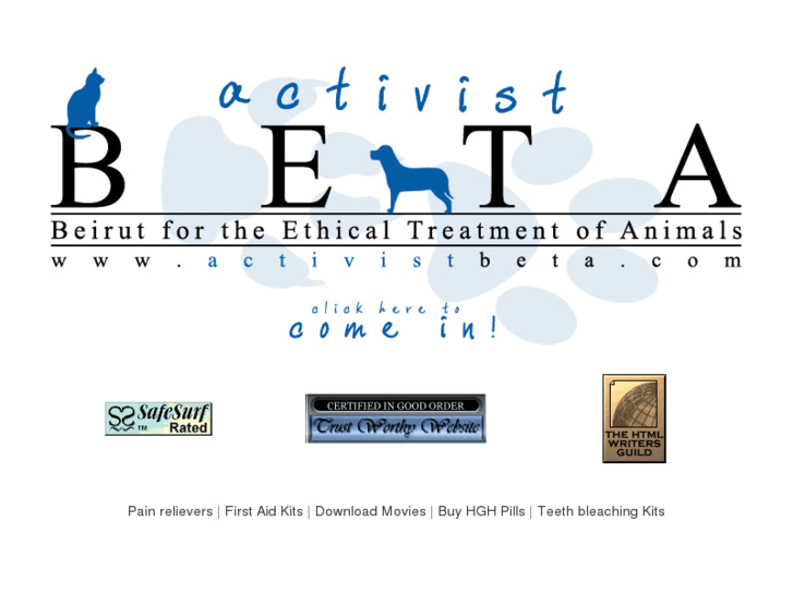 www.activistbeta.com