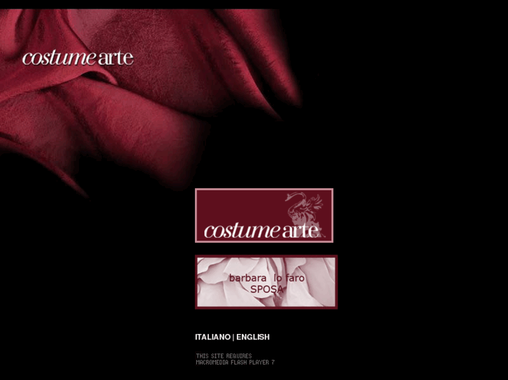 www.costumearte.com